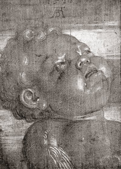 Cherubim Crying by Albrecht Dürer